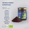 Loov - Wild Blueberry powder, air dried Loov - 2