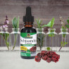 Nature's Answer - Schisandra Extract Nature's Answer® - 3