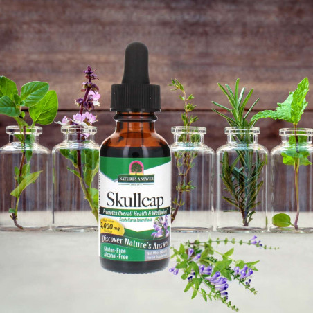 Nature's Answer - Skullcap Herb Extract Nature's Answer® - 3