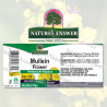 Nature's Answer válasza – ökörfarkkóró virág fülolaj 1 uncia Nature's Answer® - 2