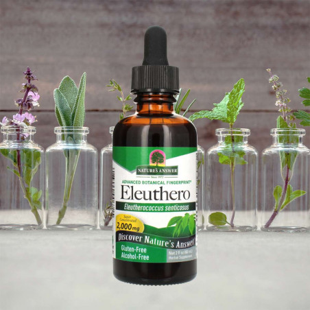 Nature's Answer - Eleuthero Root Nature's Answer® - 3