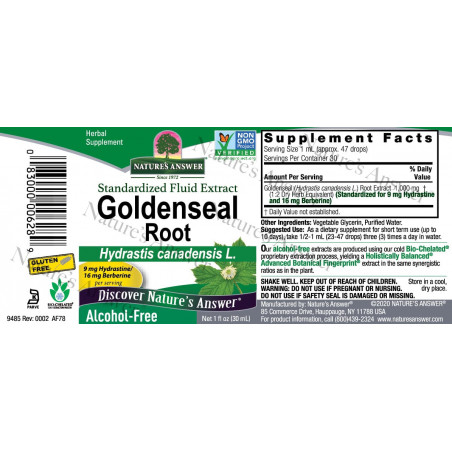 Nature's Answer - Goldenseal root Nature's Answer® - 2