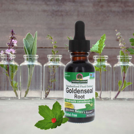 Nature's Answer - Goldenseal root Nature's Answer® - 3