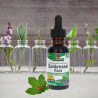 Nature's Answer - koreň Goldenseal Nature's Answer® - 3