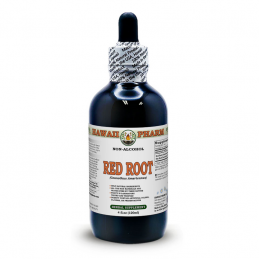 Red Root Alcohol-FREE Liquid Extract, Red Root (Ceanothus Americanus) Hawaii Pharm - 1