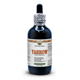 Extrato líquido sem álcool Yarrow, Yarrow orgânico (Achillea millefolium) Hawaii Pharm - 1
