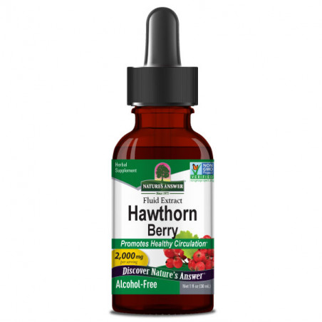 Hawthorn Berry (Crataegus monogyna), Nature's Answer - 1