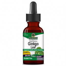 Ginkgo Root (Ginkgo biloba), Nature's Answer - 1