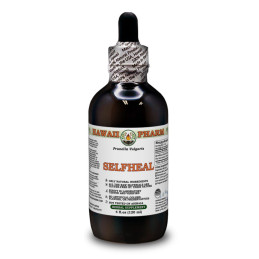 Selfheal Liquid Extract 120ml (Prunella Vulgaris), Hawaii Pharm