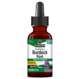 Burdock (Arctium lappa),...