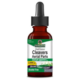 Cleavers (Galium Aparine),...