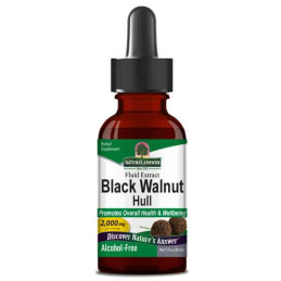 Black Walnut (Juglans nigra...