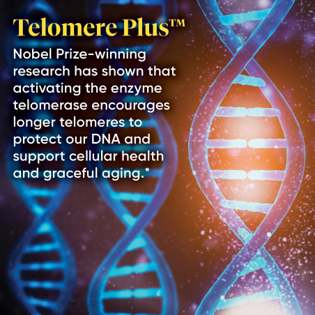 Telomere Plus ™ со смесью Telomerin® Blend Enzymedica® - 2