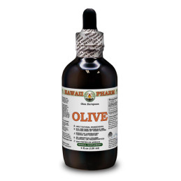Olive 120ml (Olea...