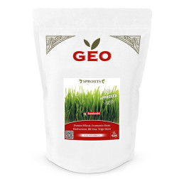 Germ seeds wheat grass 600...