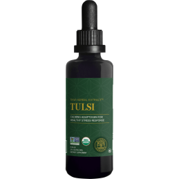 Tulsi/Holy Basil, Global Healing