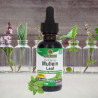Nature's Answer - Mulleinov list Nature's Answer® - 3