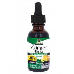 Nature's Answer - Ginger Extract Nature's Answer® - 1