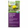 Gaia Herbs - GaiaKids ® Bronhialni wellness sirup Gaia Herbs® - 2