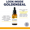 Žlutý kořen, organický Goldenseal Vimergy® - 3