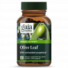 Gaia Herbs - olajbogyólevél Gaia Herbs® - 1